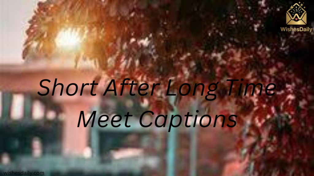 Short After Long Time Meet Captions