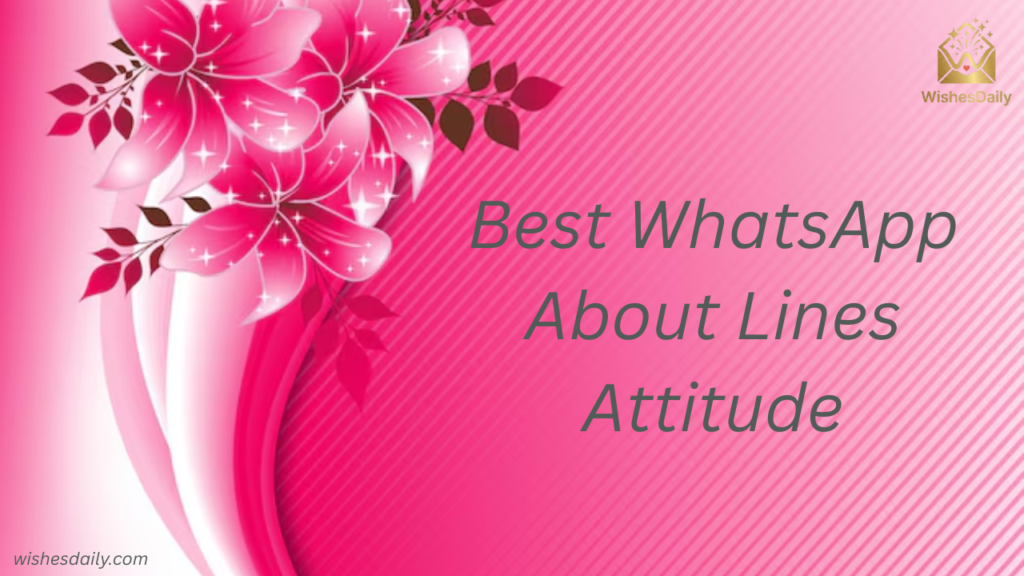 Best WhatsApp About Lines Attitude