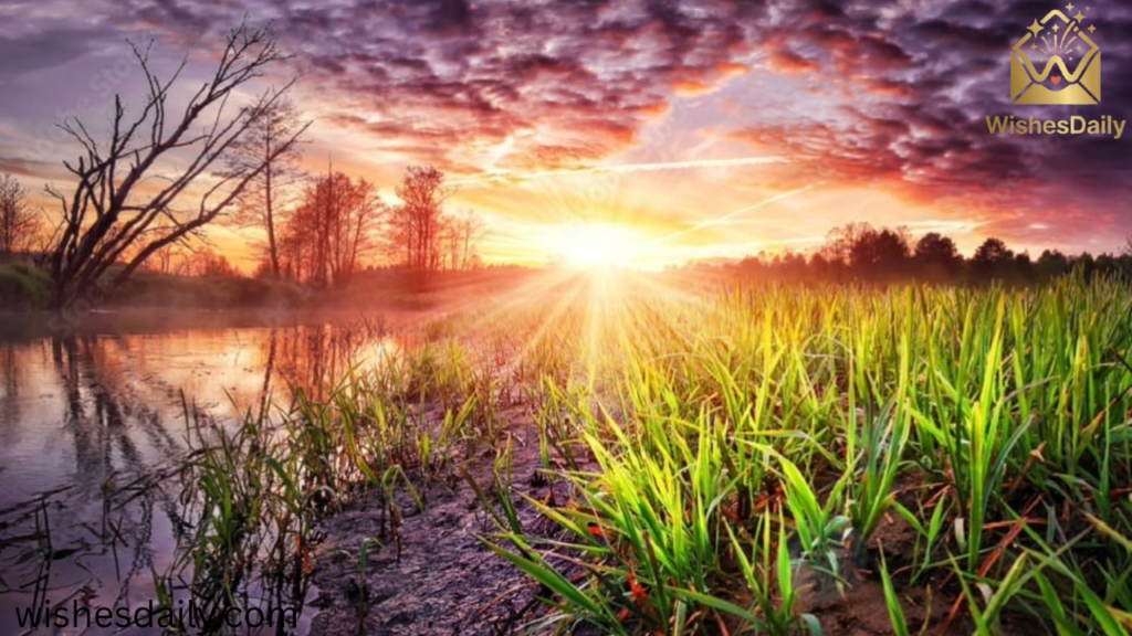 Beautiful Thursday Blessings Images and Quotes to Share